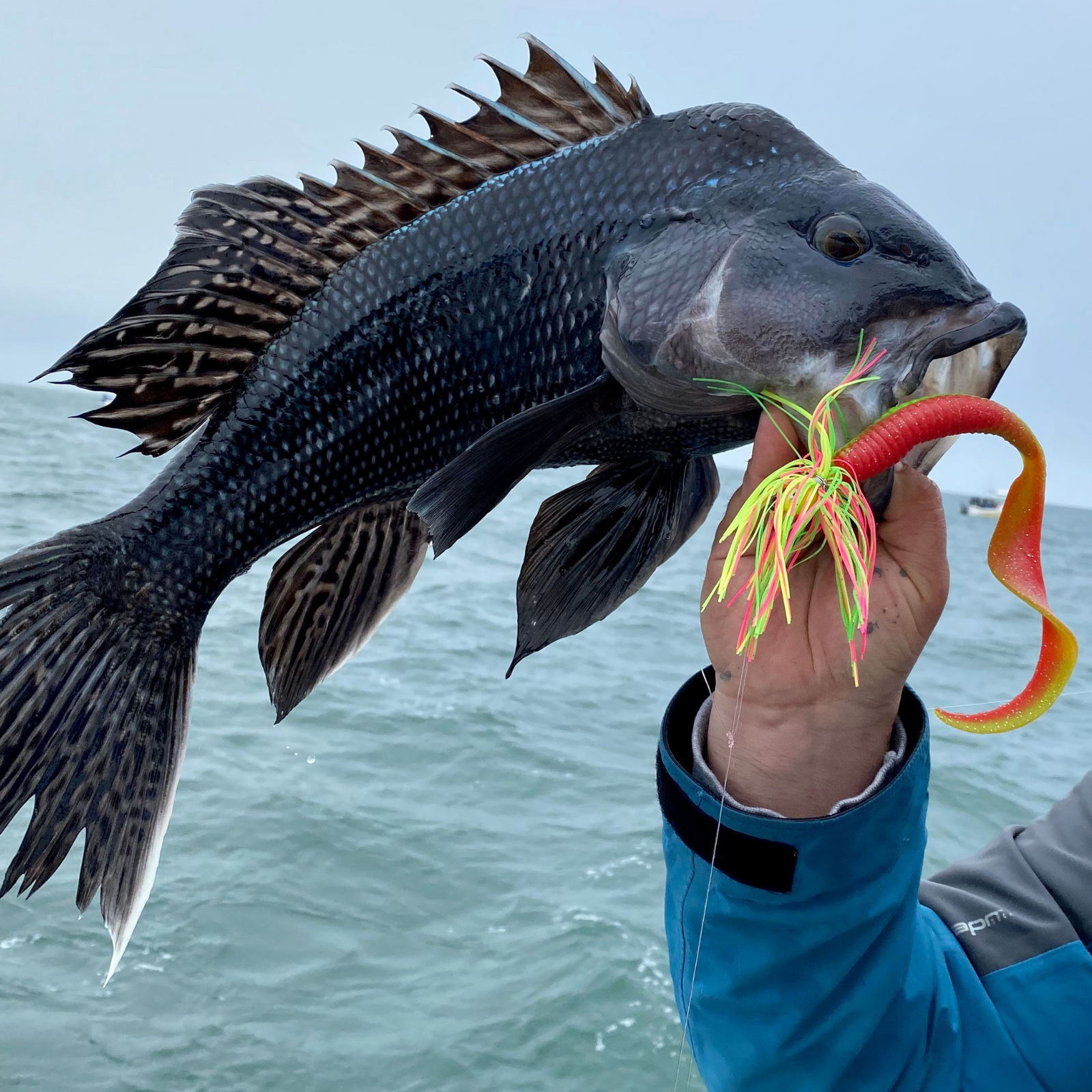 Z-Man DoormatadorZ Jigi 6" 3kpl | Bleeding Banana