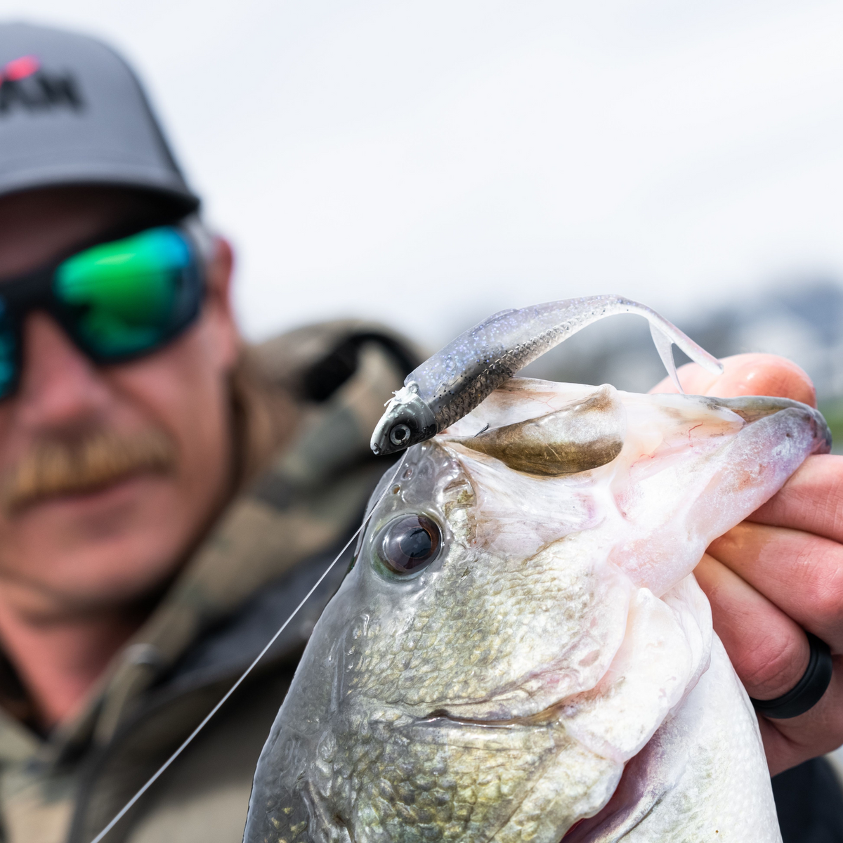 Z-Man Graph ShadZ 3.8" 10.6g | Smelt