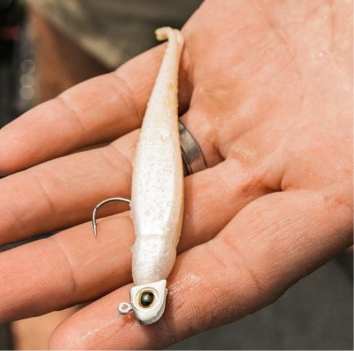 Z-Man Scented Jerk ShadZ Jigi 3" 8kpl | Shiner