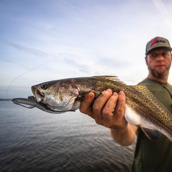 Z-Man DarterZ Jigi 6" 5kpl | Pearl