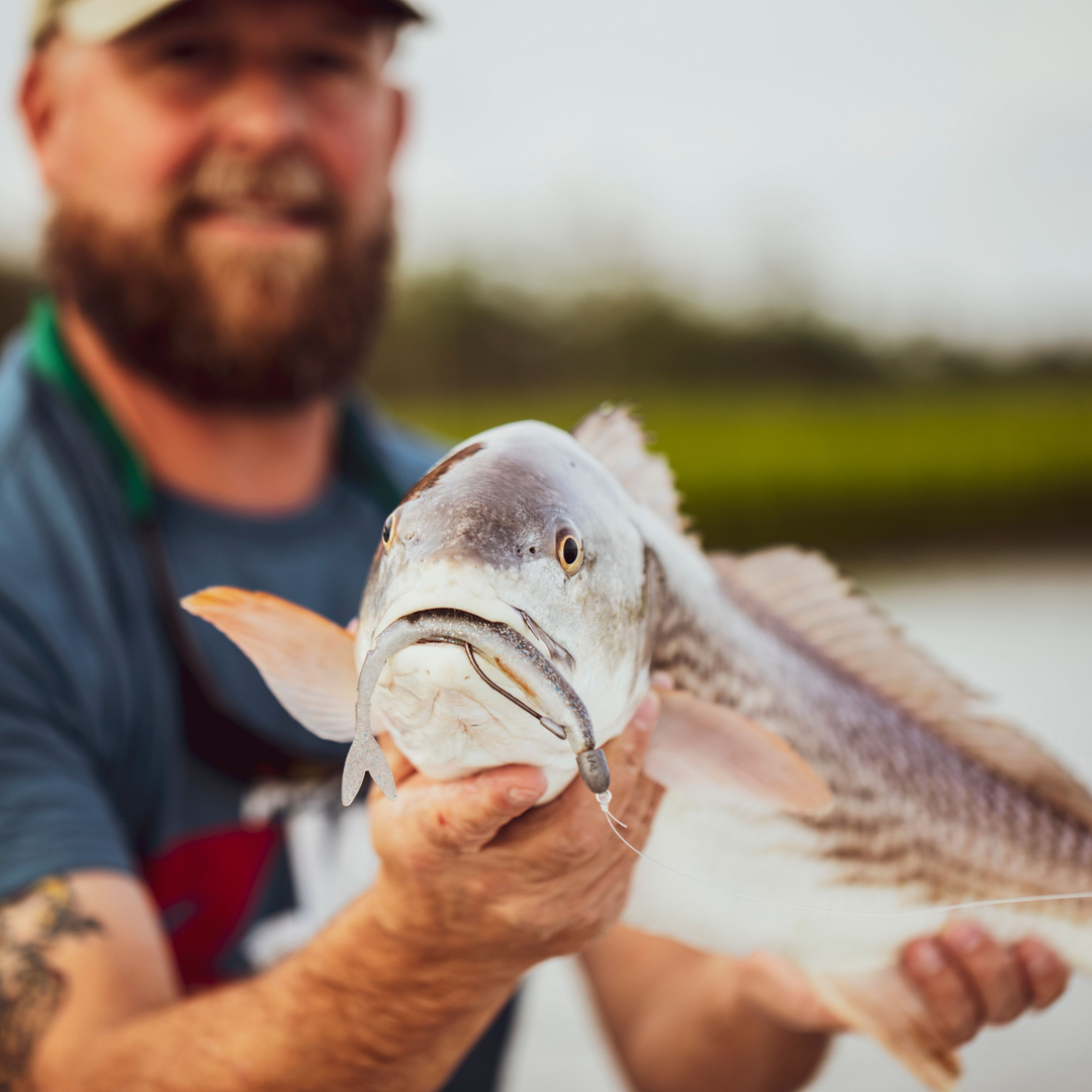 Z-Man DarterZ Jigi 6" 5kpl | Pearl