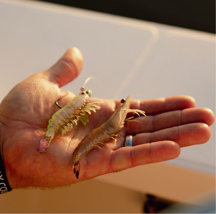 Z-Man PrawnstarZ LB Jigi 3.5" 3kpl | White Shrimp