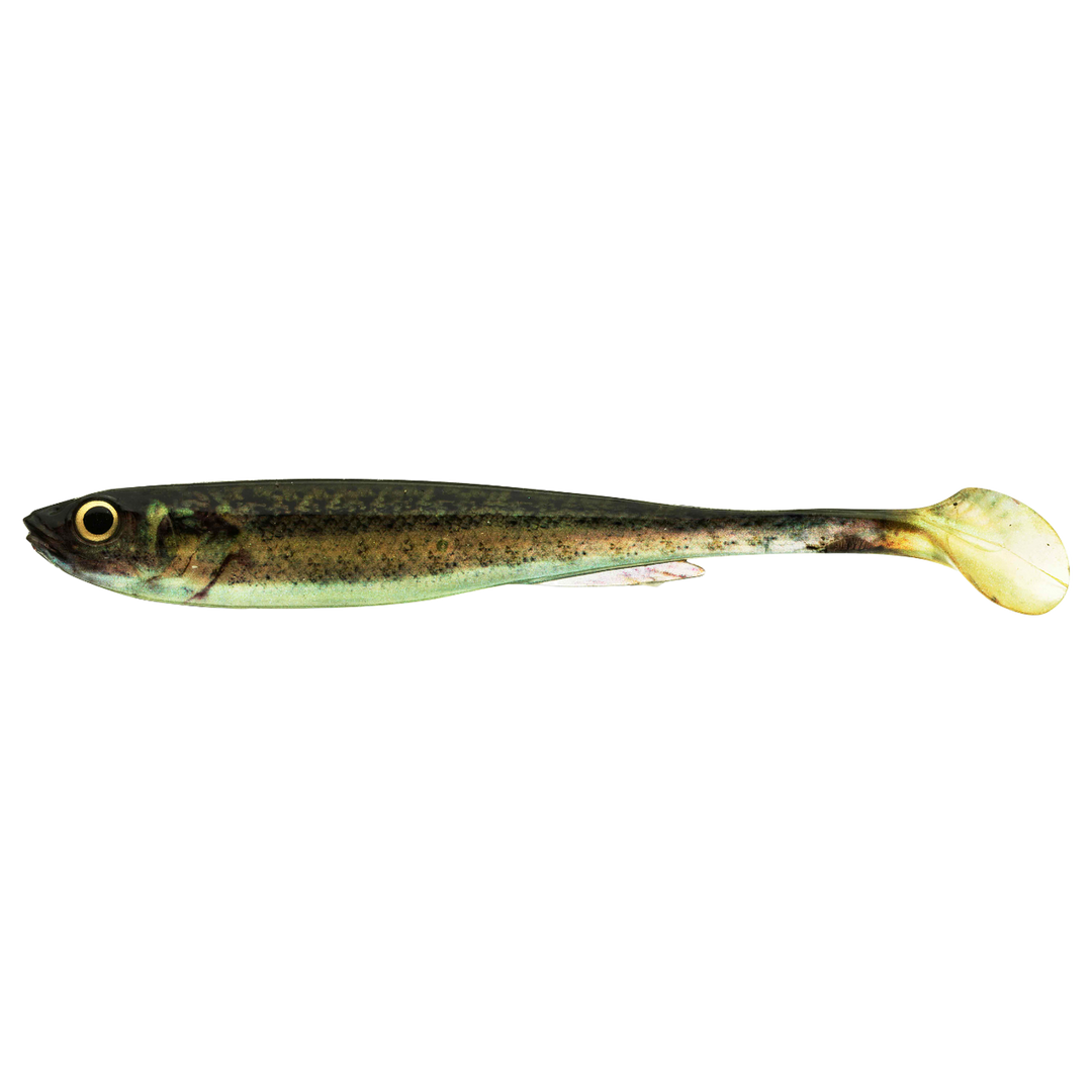 Daiwa Prorex Real Slim Shad Y LIVE 10.5cm Jigi Baby Zander sivulta, pää vasemmalla