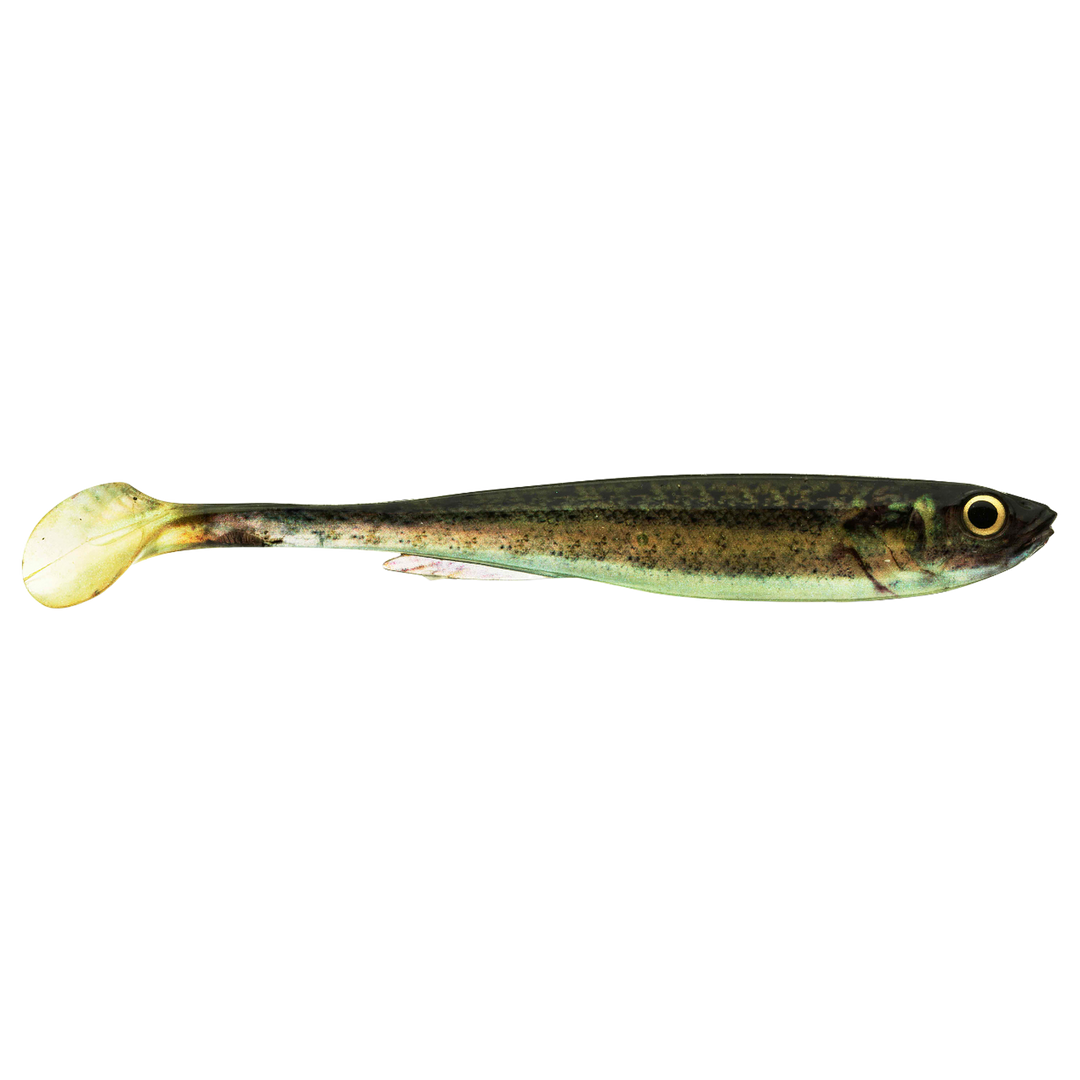 Daiwa Prorex Real Slim Shad Y LIVE 10.5cm Jigi Baby Zander sivulta, pää oikealla