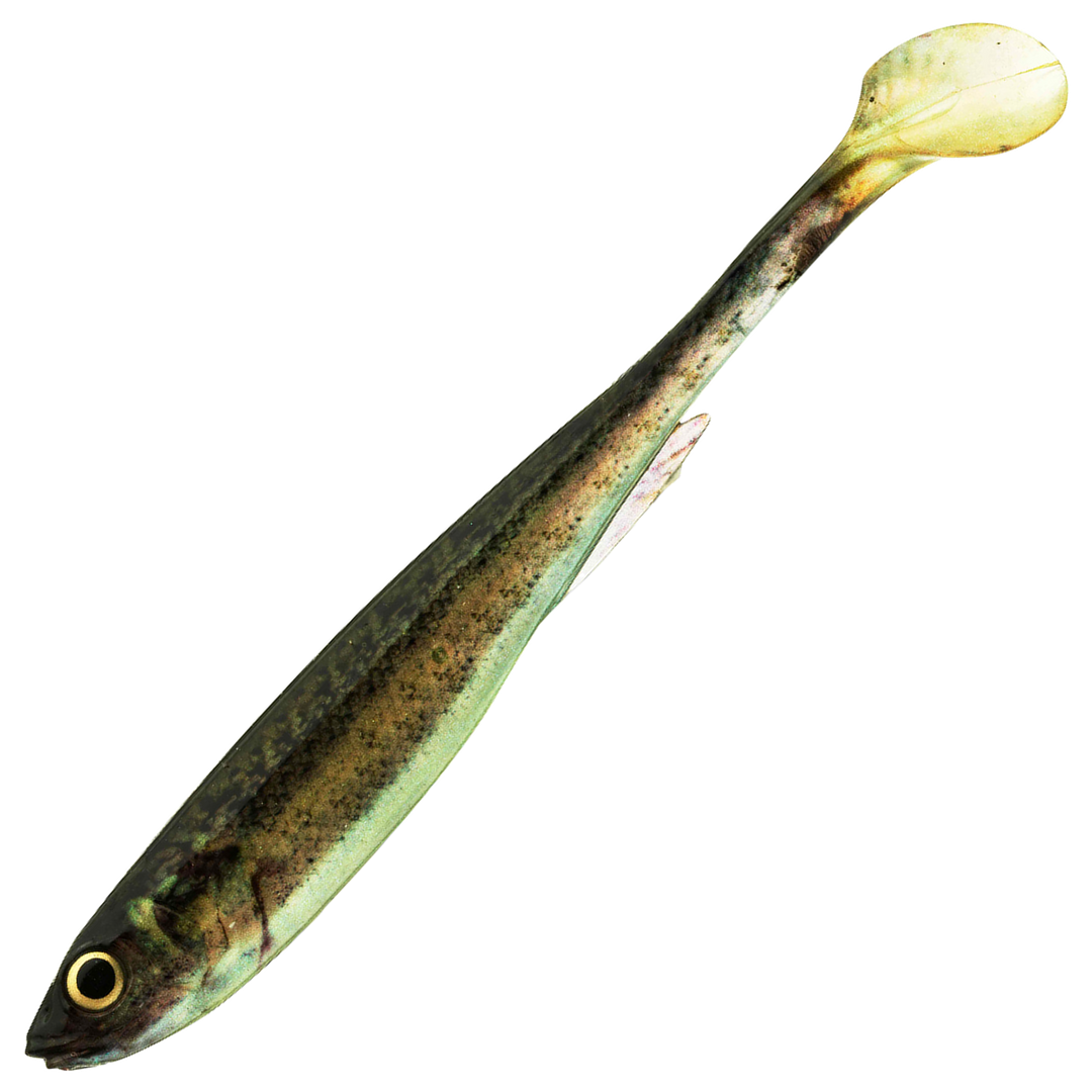 Daiwa Prorex Real Slim Shad Y LIVE 16cm Jigi, väri Baby Zander: tumma kuvioitu selkä, hopeinen kylki ja vaalea pyrstö