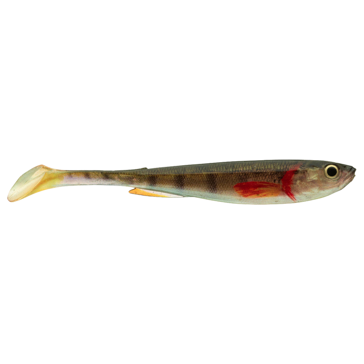 Daiwa Prorex Real Slim Shad Y LIVE 16cm Jigi Gold Perch sivulta, pää oikealla