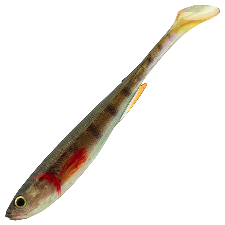 Daiwa Prorex Real Slim Shad Y LIVE 7.5cm Jigi, väri Gold Perch: oliivinvihreä selkä, kullankeltainen kylki ja tummat raidat