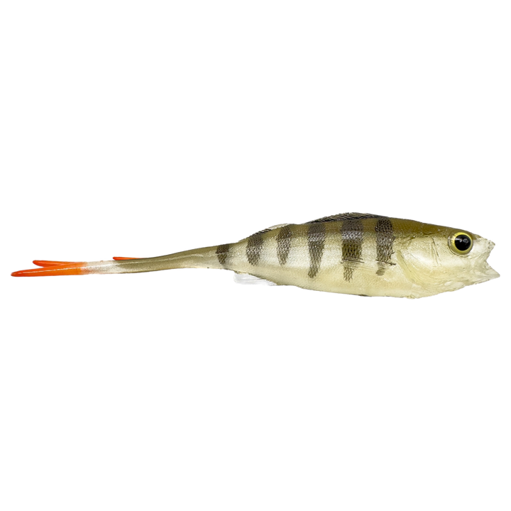 Dominator URSB Ahven V-pyrstö Jigi 11,5cm VBZP sivulta, pää oikealla