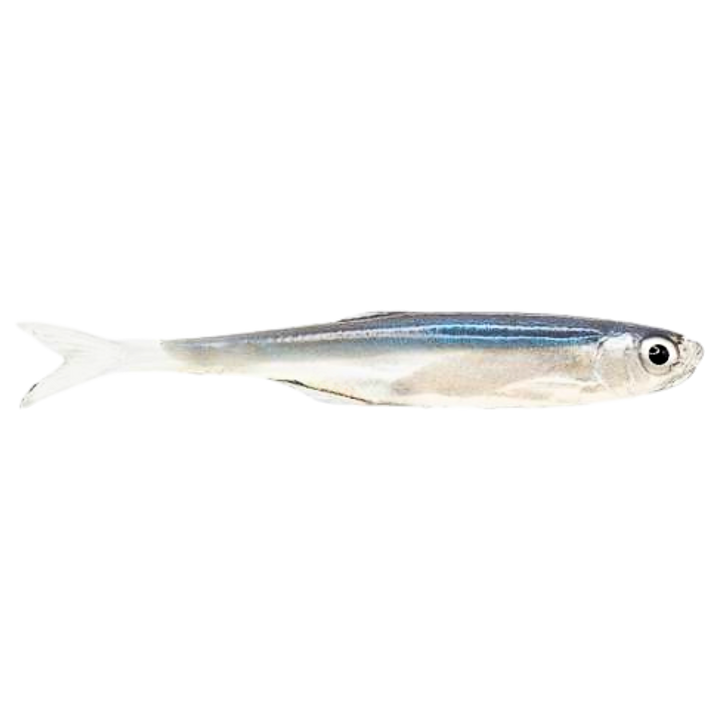 Dominator URSB Salakka Kalapyrstö Jigi 8,5cm NPX sivulta, pää oikealla