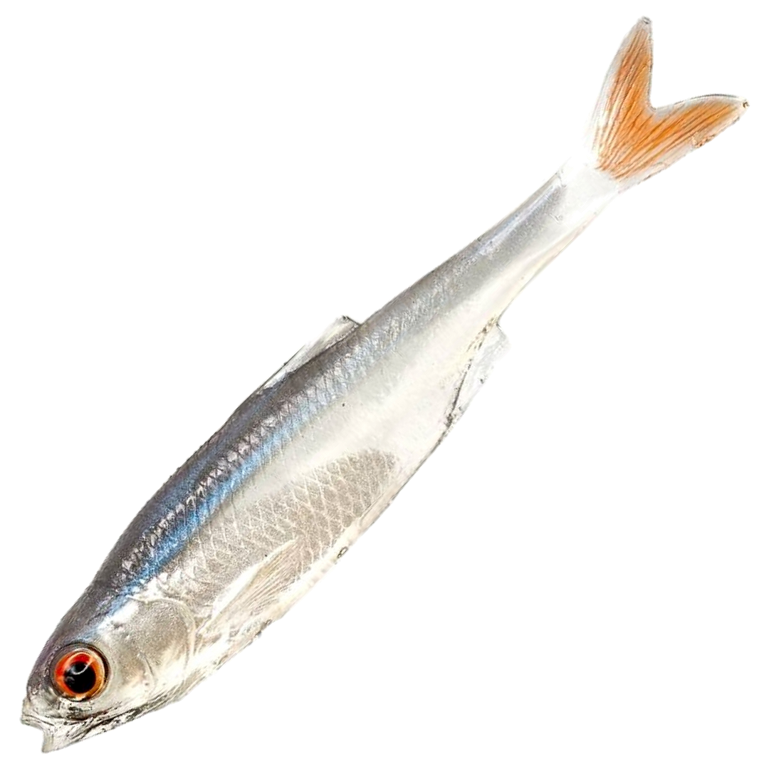 Dominator URSB Särki Kalapyrstö Jigi 7,5cm, väri NPX: sininen selkä, hopeinen kylki ja oranssi pyrstö