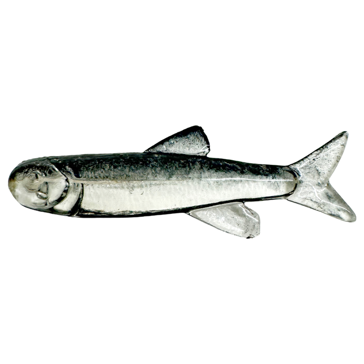 Ruthless Orka Small Fish Jigi 3cm TR1 sivulta, pää vasemmalla