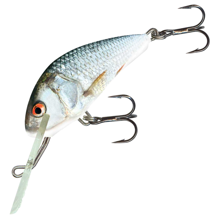 Salmo Hornet 4cm 3g Kelluva vaappu, väri Real Dace (RDE): harmaa selkä ja hopeinen kylki