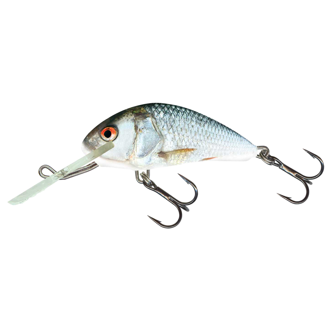 Salmo Hornet 4cm 3g Kelluva vaappu Real Dace (RDE) sivulta, pää vasemmalla