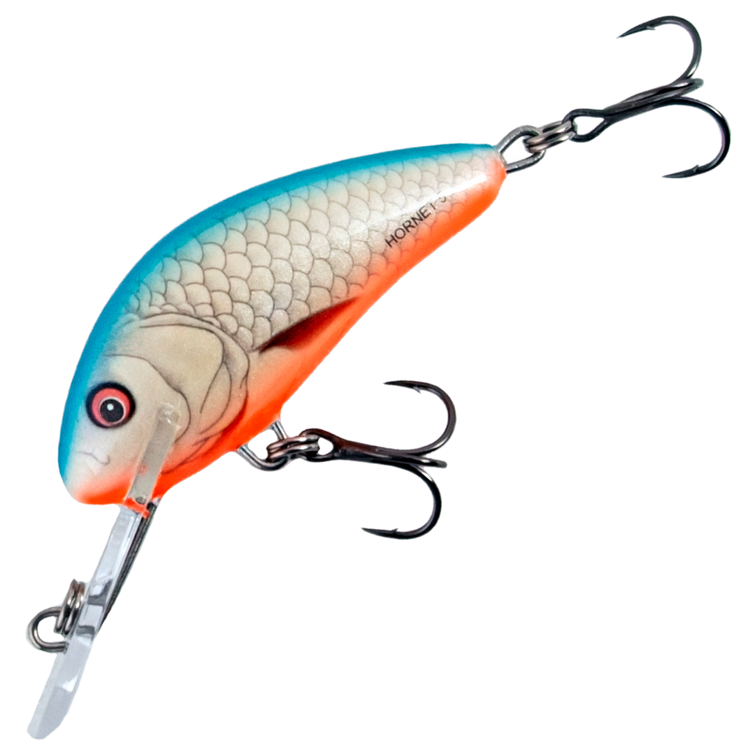 Salmo Hornet 5cm 7g Kelluva Vaappu, väri Dace Blue: sininen selkä, hopeinen suomukuvio ja oranssi vatsa