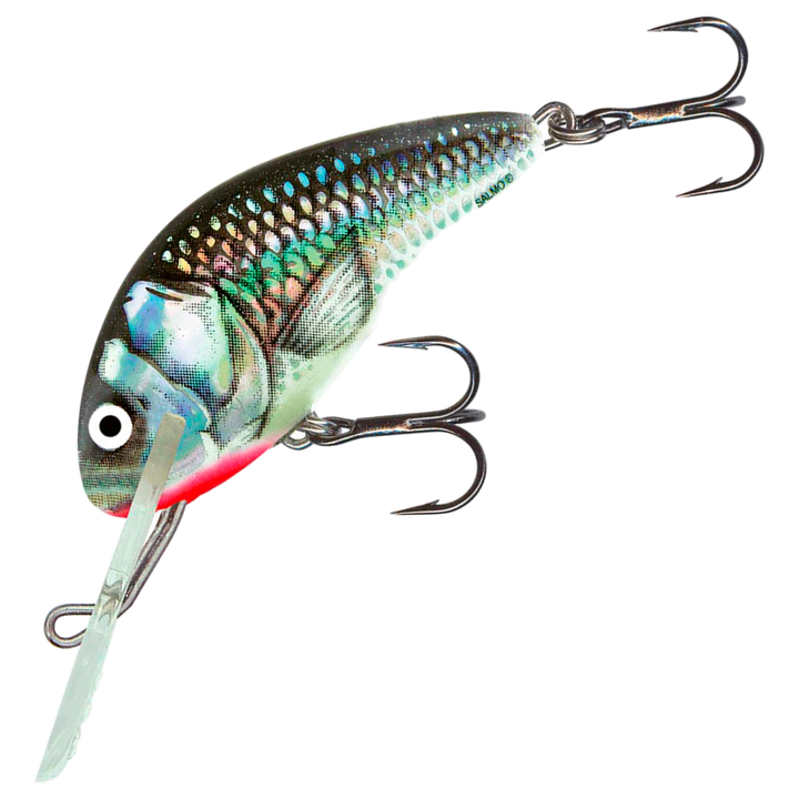 Salmo Hornet 5cm 7g Kelluva Vaappu, väri Holographic Grey Shiner: harmaa selkä, hopeinen suomukuvio ja punainen kidusalue