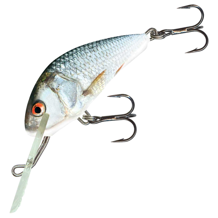 Salmo Hornet 5cm 7g Kelluva Vaappu, väri Real Dace: harmaa selkä ja hopeinen kylki