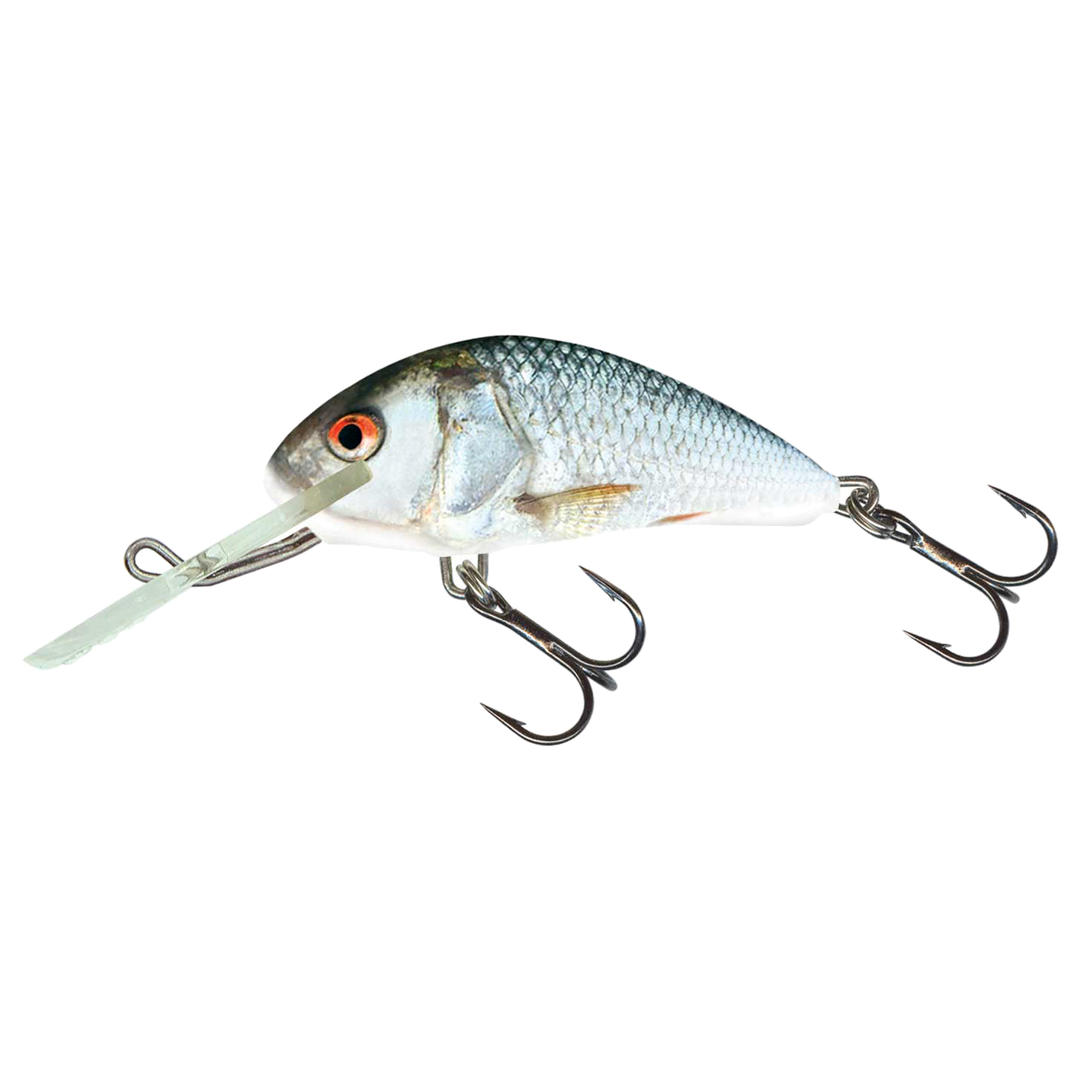 Salmo Hornet 5cm 7g Kelluva Vaappu Real Dace sivulta, pää vasemmalla