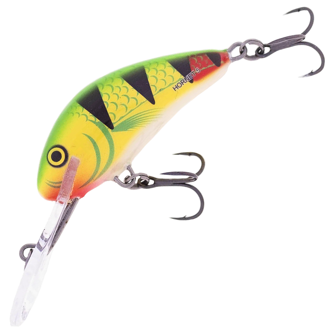 Salmo Rattlin&