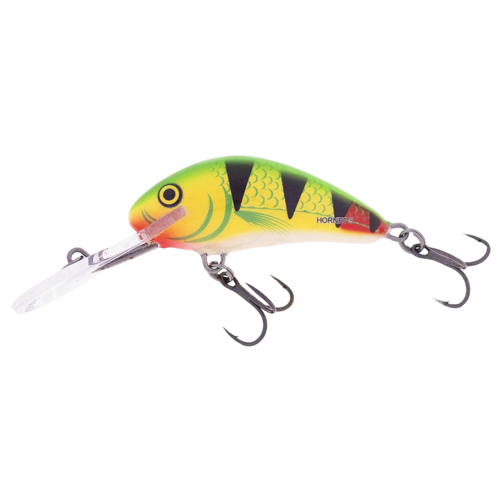 Salmo Rattlin&