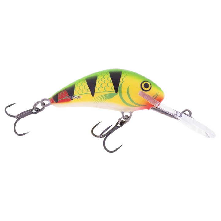 Salmo Rattlin&