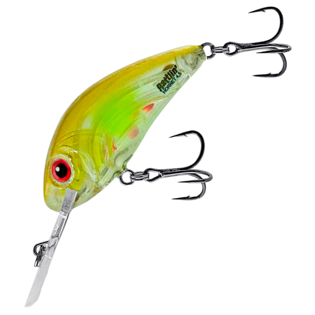 Salmo Rattlin&