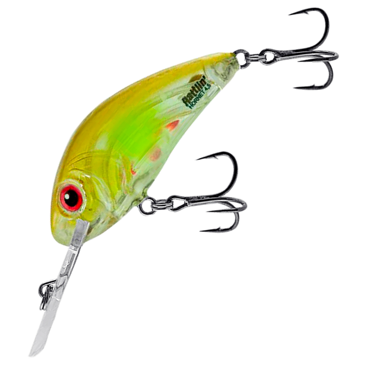 Salmo Rattlin&