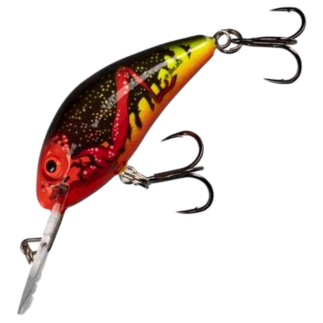 Salmo Rattlin&