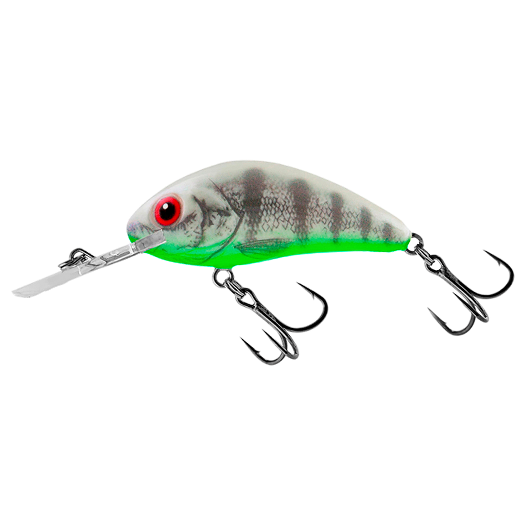 Salmo Rattlin&