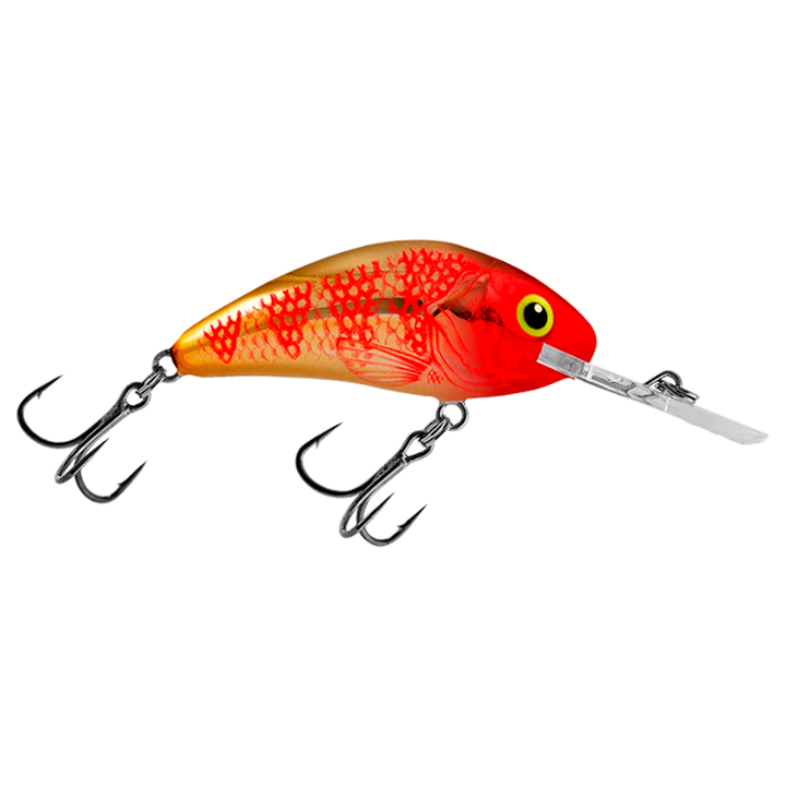 Salmo Rattlin&