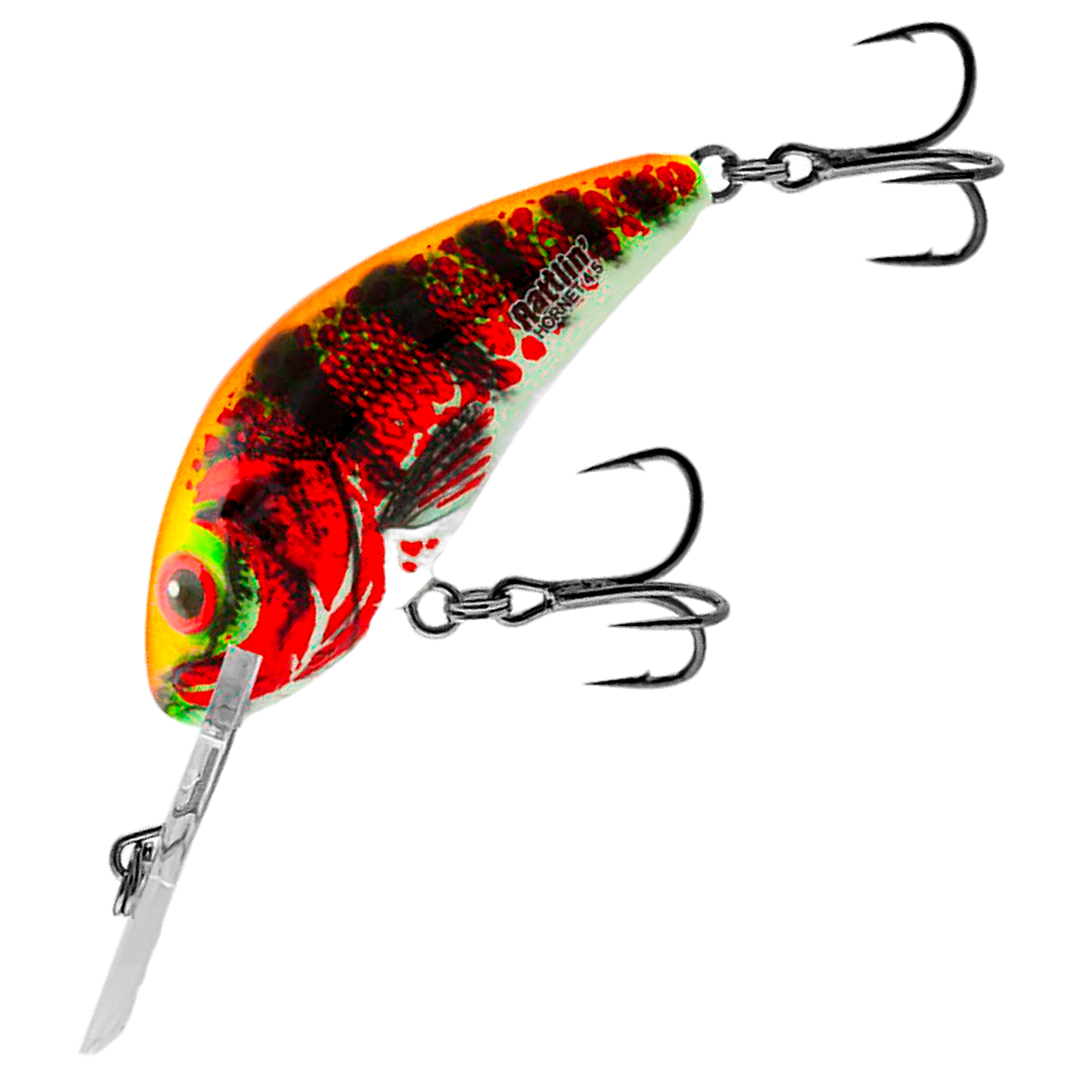 Salmo Rattlin&