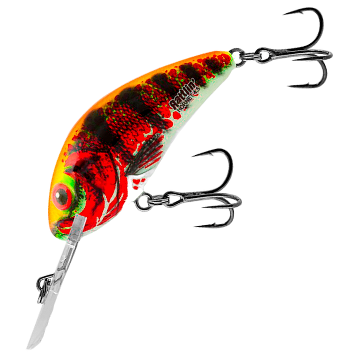 Salmo Rattlin&