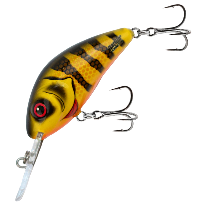 Salmo Rattlin&