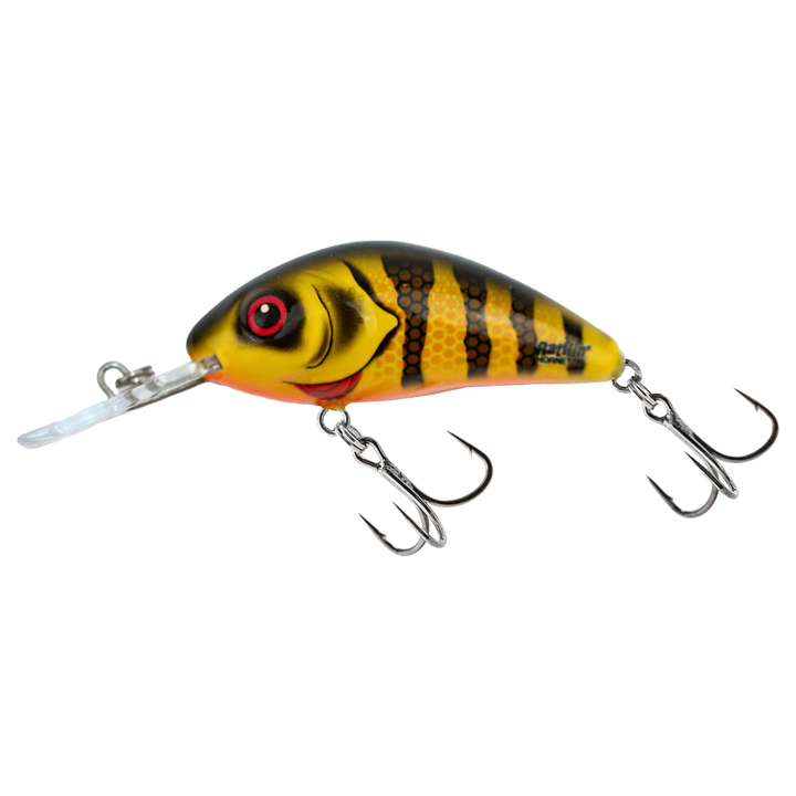 Salmo Rattlin&