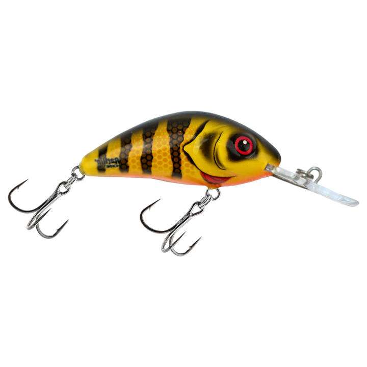 Salmo Rattlin&