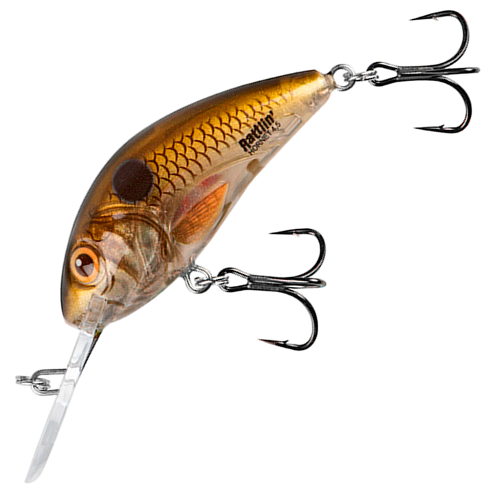 Salmo Rattlin&