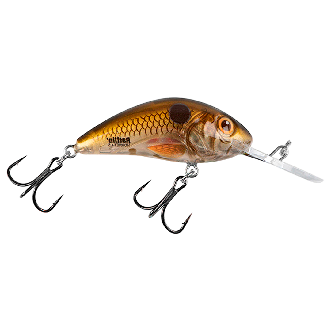 Salmo Rattlin&