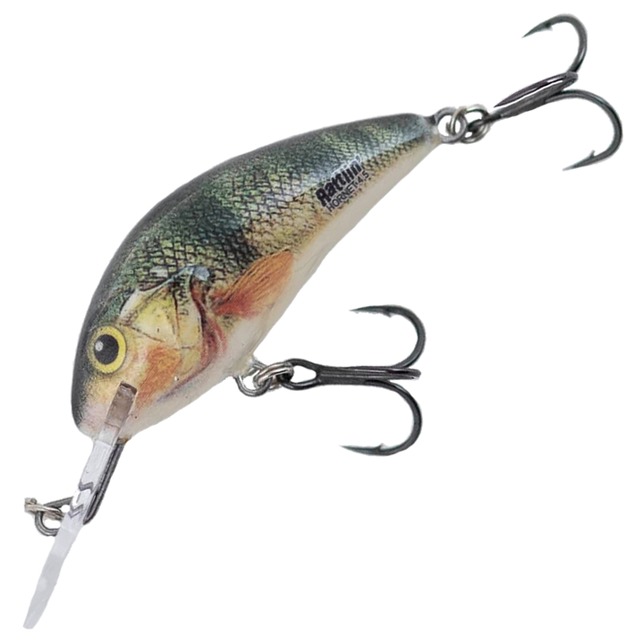 Salmo Rattlin&