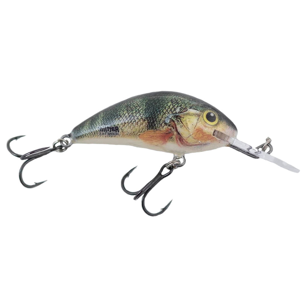 Salmo Rattlin&