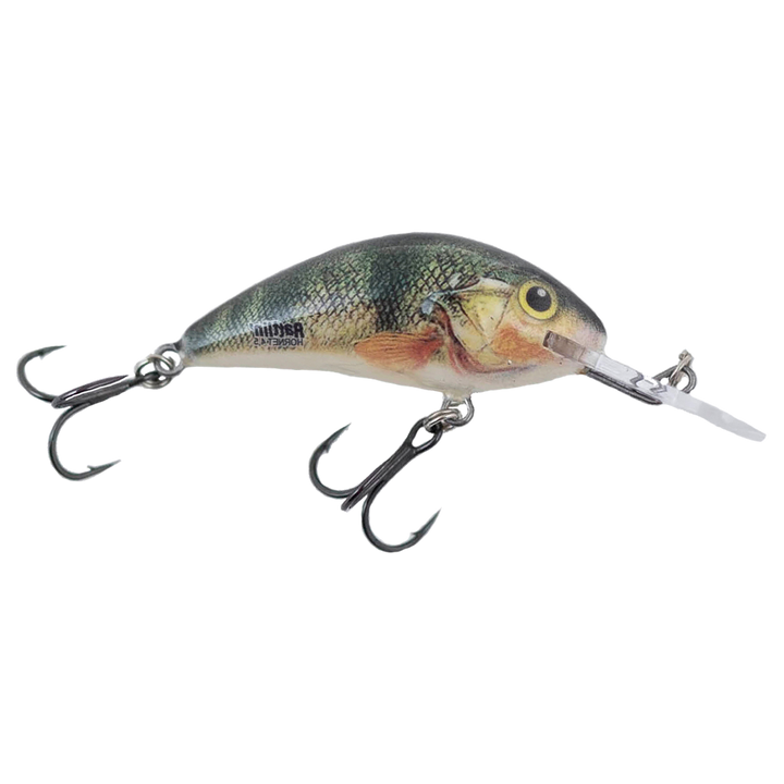 Salmo Rattlin&