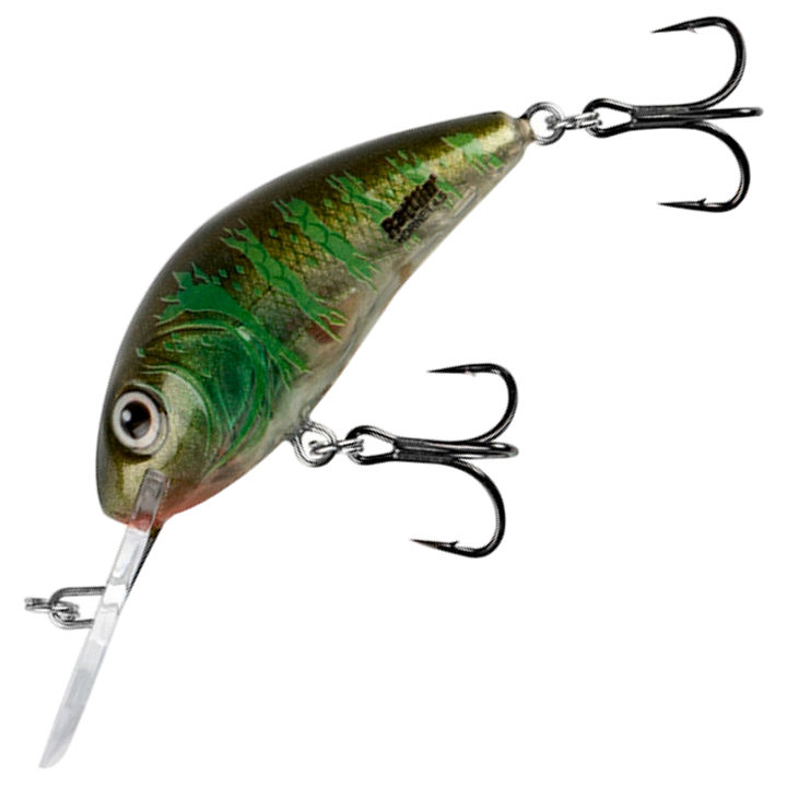 Salmo Rattlin&