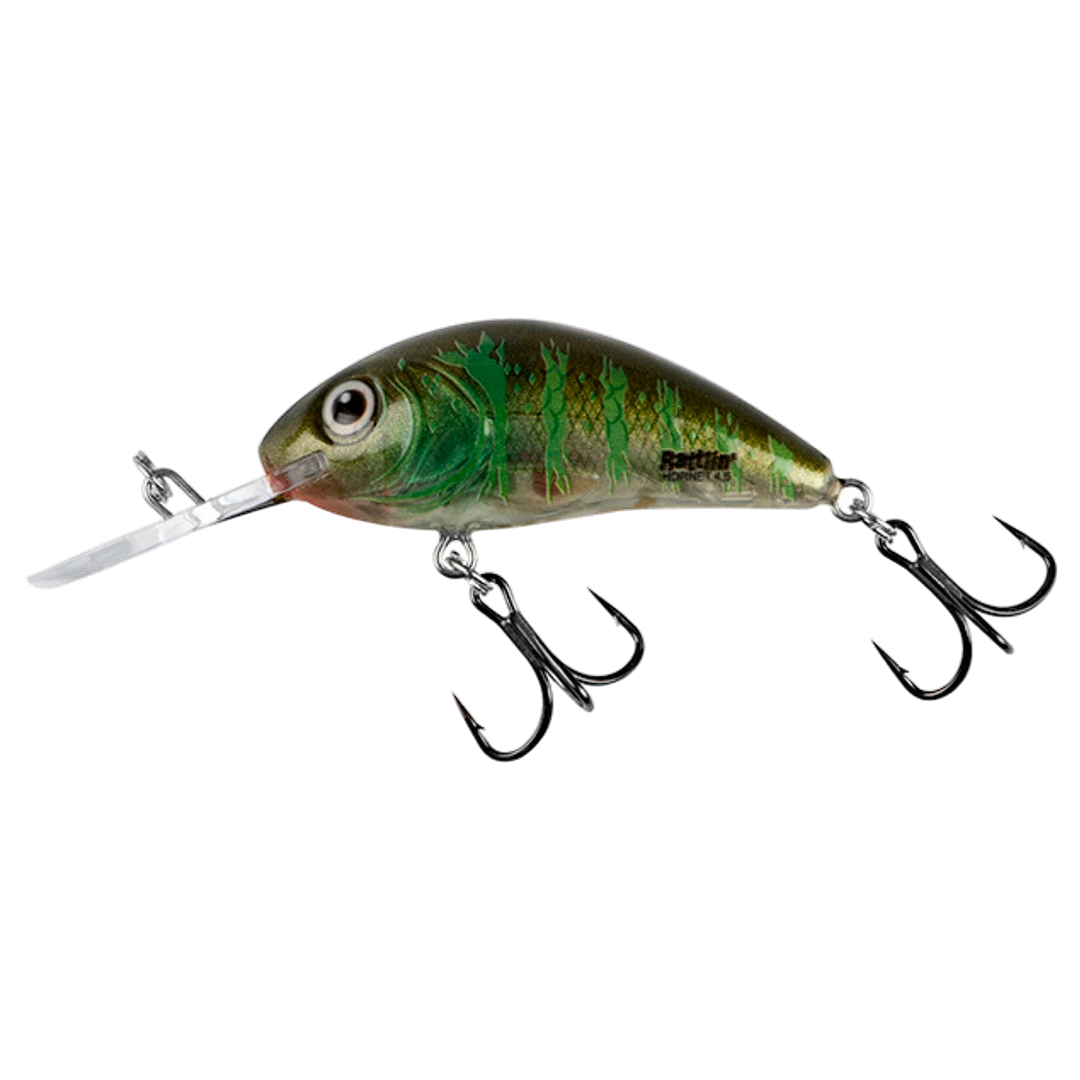 Salmo Rattlin&