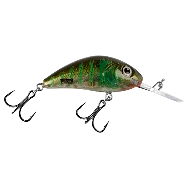 Salmo Rattlin&
