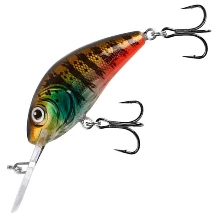 Salmo Rattlin&