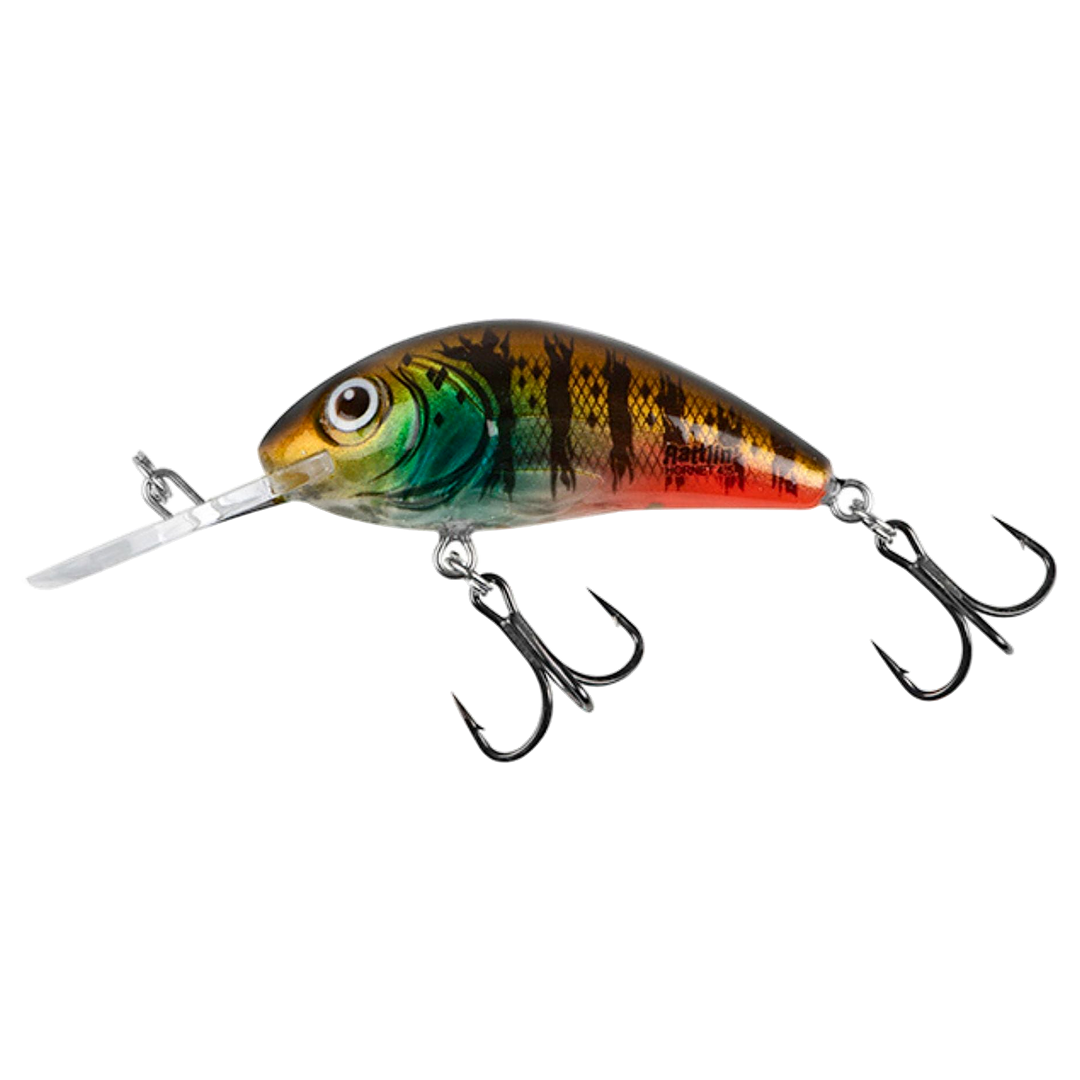 Salmo Rattlin&
