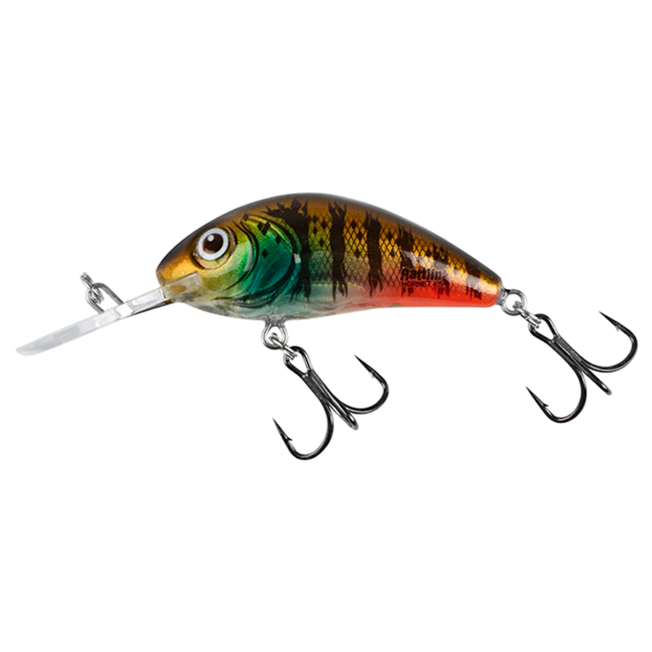 Salmo Rattlin&