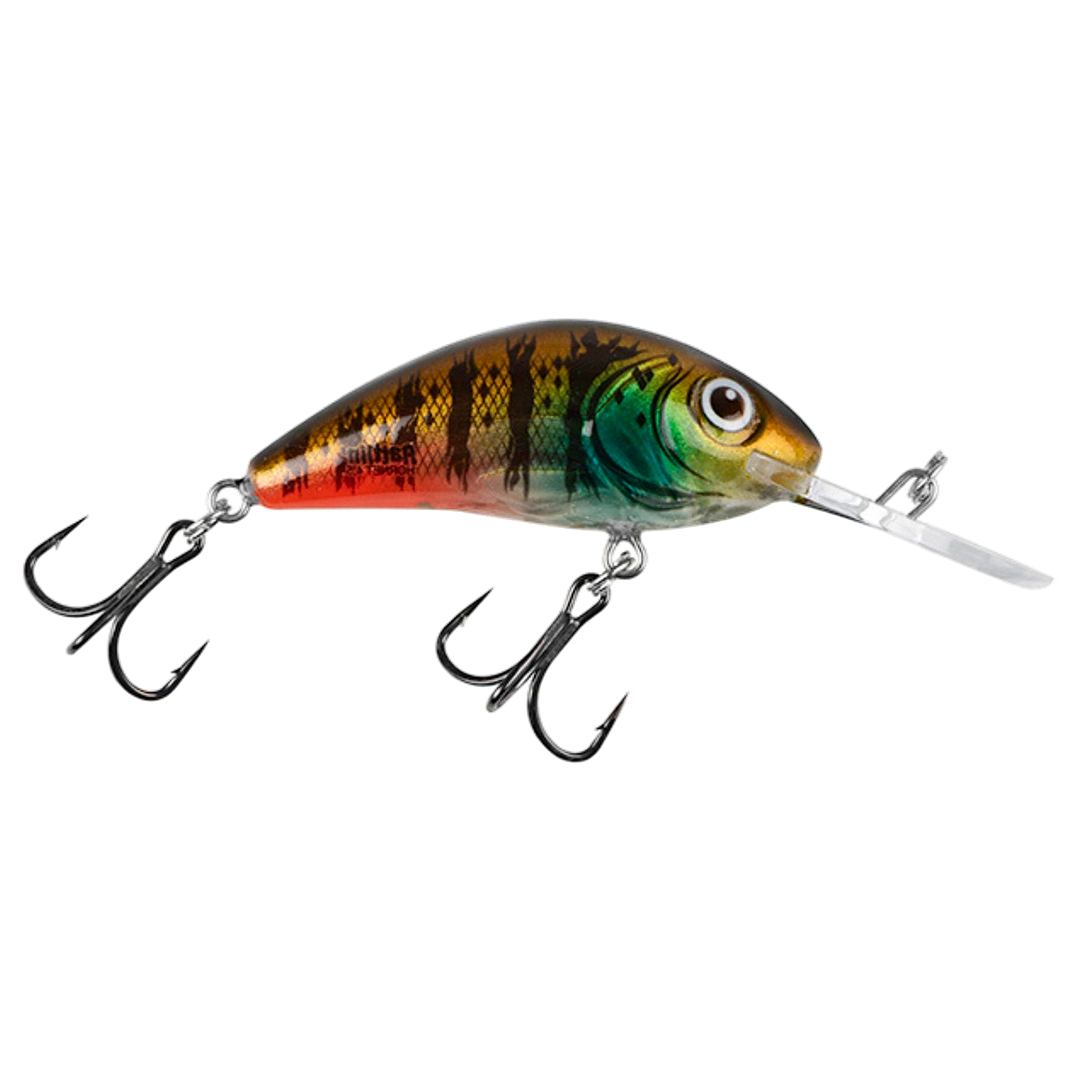 Salmo Rattlin&