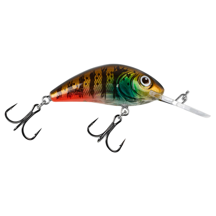 Salmo Rattlin&