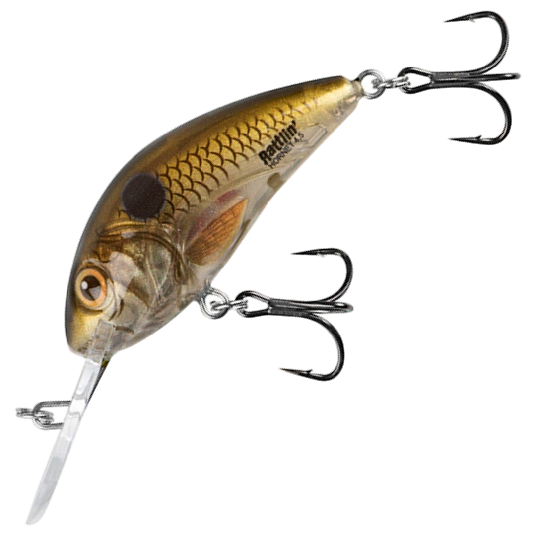 Salmo Rattlin&
