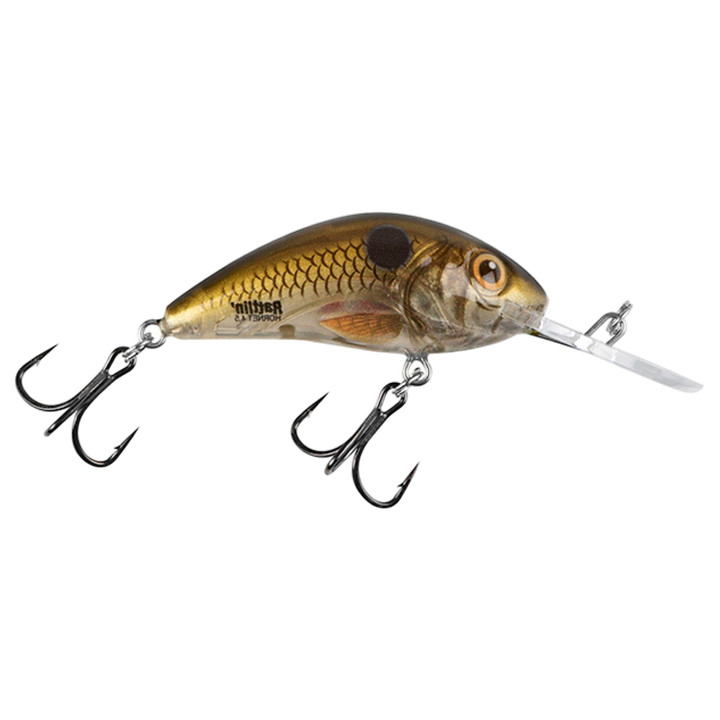 Salmo Rattlin&