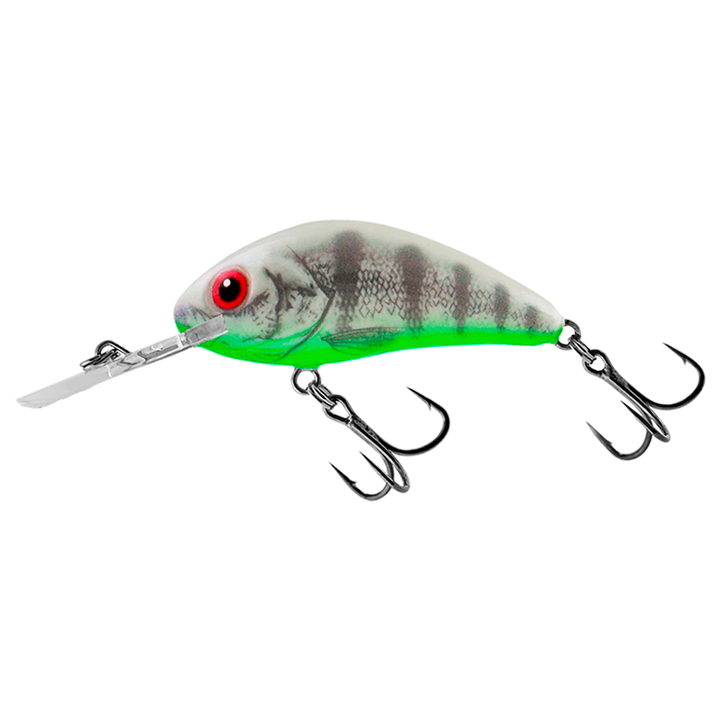 Salmo Rattlin&